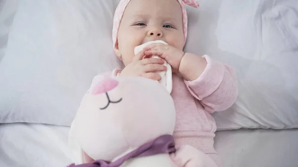 Vista dall'alto del neonato che succhia peluche in camera da letto — Foto stock