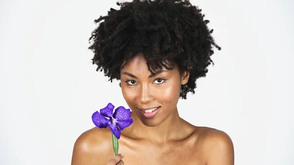 Mujer americana bastante africana sosteniendo la orquídea azul aislada en gris - foto de stock