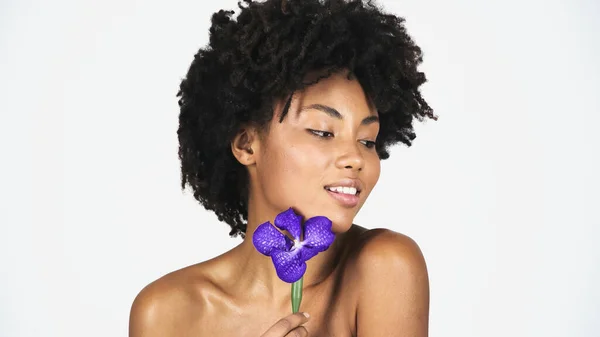 Молода афроамериканська жінка з ідеальною шкірою, що тримає орхідею ізольовану на сірому — стокове фото
