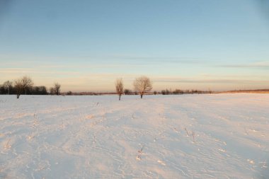 Kış doğası kar gökyüzü