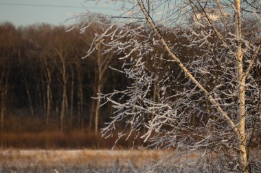 Kış doğası kar gökyüzü