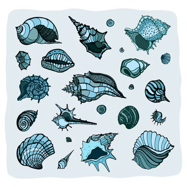 Collecte des coquillages — Image vectorielle