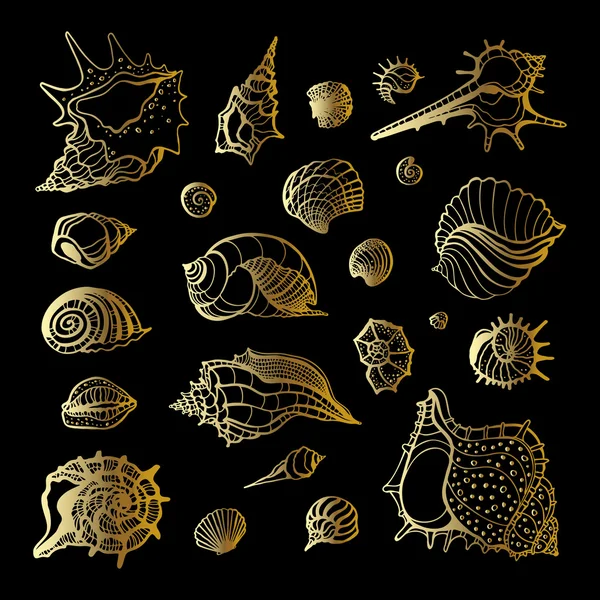 Golden sea shell. Collection of seashells — Stock Vector