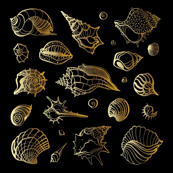 Golden sea shell. Collection of seashells — Stock Vector