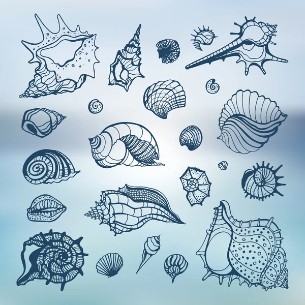Colección de conchas marinas — Vector de stock