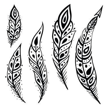 Tavus kuşu tüyü seti.