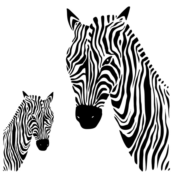 Zebra. vektorové ilustrace. — Stockový vektor