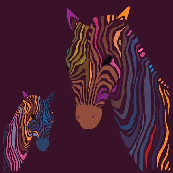 Zebra. vektorové ilustrace. — Stockový vektor