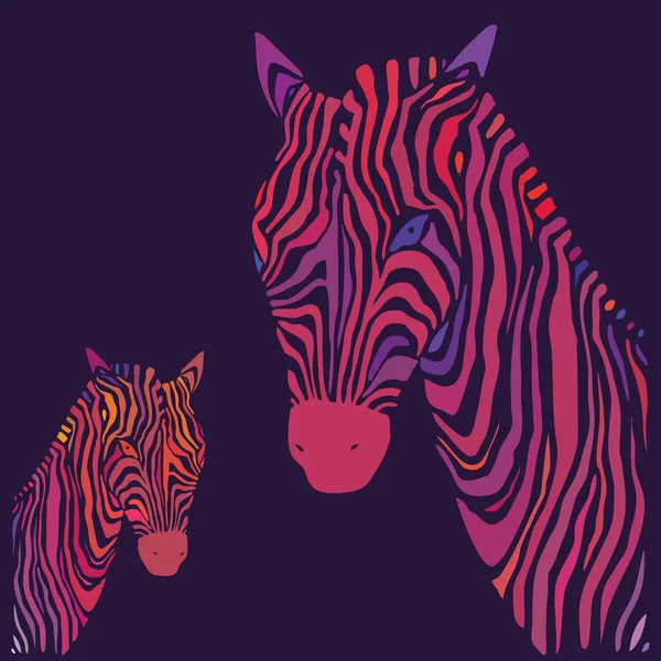 Zebra. Ilustração vetorial . — Vetor de Stock