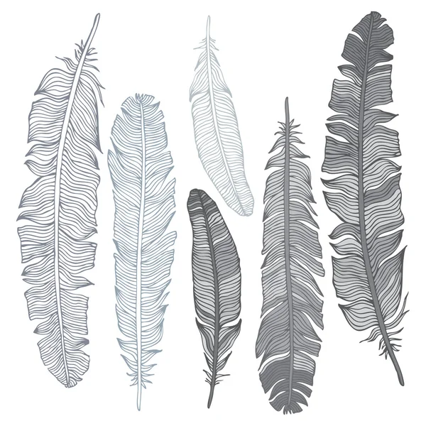 Beautiful Vintage Feathers — Stock Vector