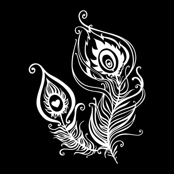 Belles plumes de paon — Image vectorielle