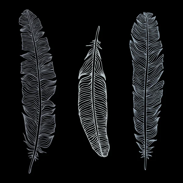 Beautiful Vintage Feathers — Stock Vector