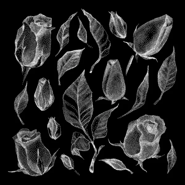 バラ植物セット. — ストックベクタ