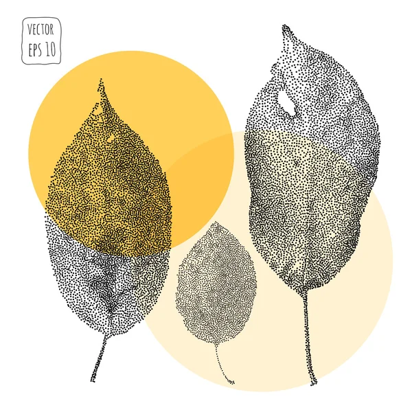 Yaprakları. Desen yaprak ile