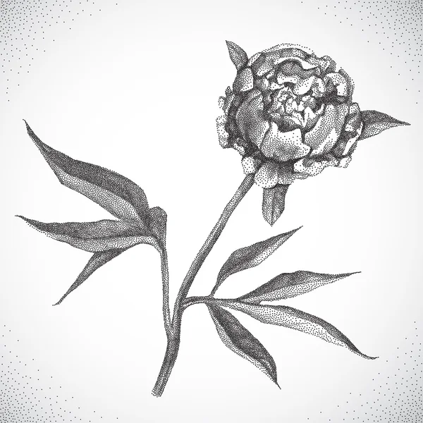 花。黑色和白色 Dotwork — 图库矢量图片