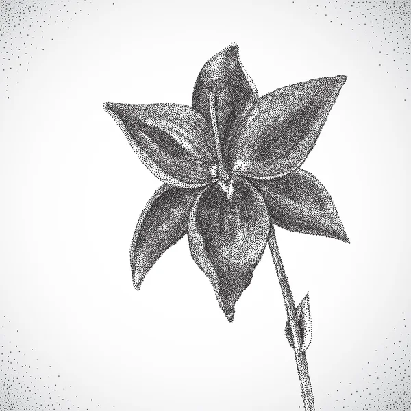 Blume. Schwarz-weißes Geflecht — Stockvektor
