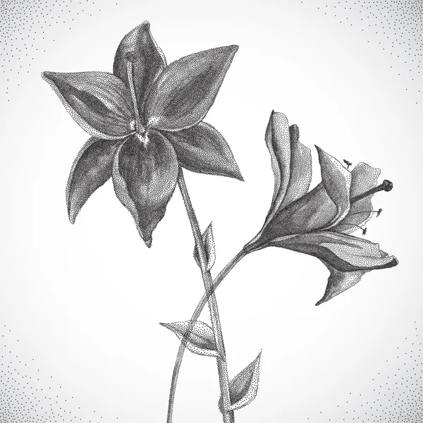 Квітка. Чорно-біла кладка — стоковий вектор