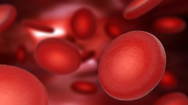 Kan akışı illüstrasyon