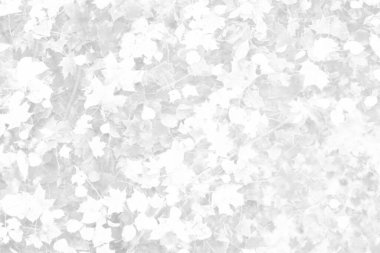 Sonbahar yaprakları ve suyun beyaz soyut dokusu