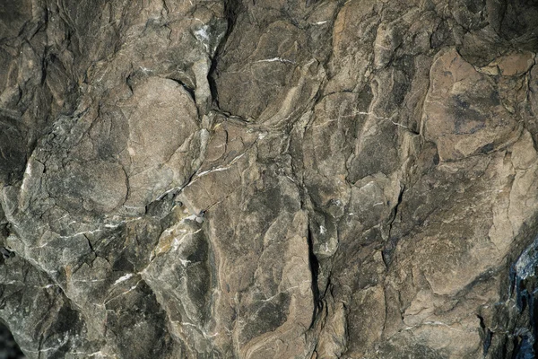 protuberances ile kahverengi taş