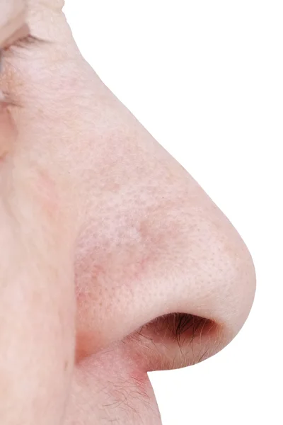 大人类的鼻子 — 图库照片