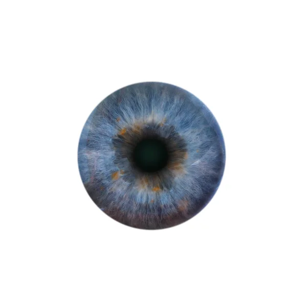 Pupilo azul del ojo humano — Foto de Stock