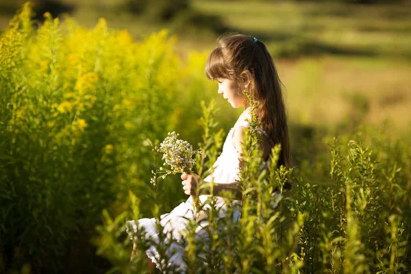 Mädchen pflückt Blumen auf einem Feld — Stockfoto