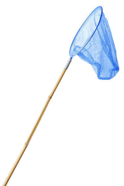 Children's butterfly net