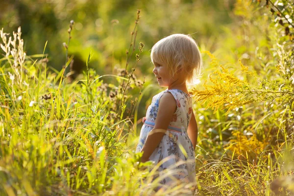 Kleines blondes Mädchen im Kleid zwischen Wildblumen — Stockfoto