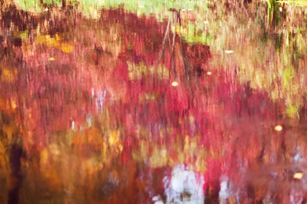 Wasseroberfläche Spiegelt Buntes Herbstlaub Wald Wider — Stockfoto