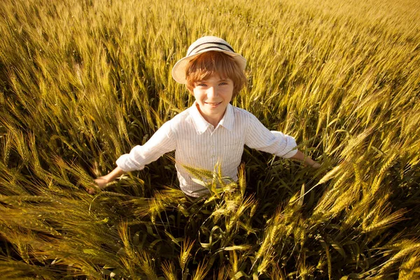 Ragazzo Felice Con Cappello Mezzo Campo Grano Maturo — Foto Stock