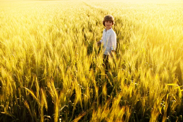 小麦畑の間に白いシャツを着た少年 — ストック写真