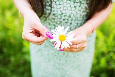 Papatya çayı genç bir kadının ellerinde