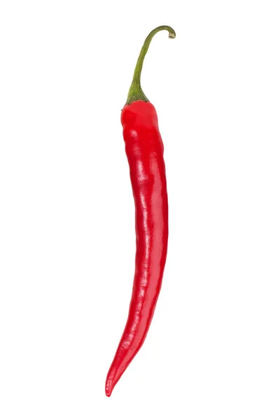 Zralé Červené Chilli Papričky Bílém Pozadí — Stock fotografie