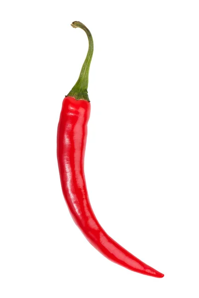 Pod Ripe Red Chili Peppers White Background — Stock Photo, Image