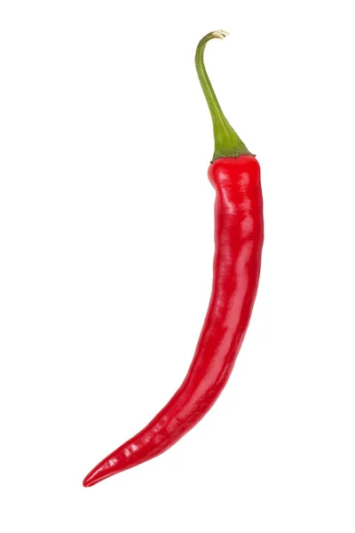 Crooked Strings Ripe Red Chili Peppers White Background — Stock Photo, Image