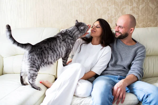 Joven Hombre Mujer Con Gato Sofá Casa Imagen De Stock