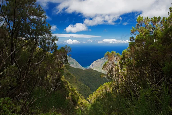 Paisagem com montanhas e o oceano — Fotografia de Stock