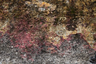 Eski bir taş duvar yüzeyi sıvalı