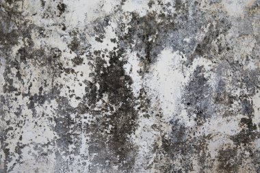 Yüzey beyaz ve gri eski sıvalı
