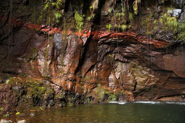 Pequeños arroyos bajan de la roca —  Fotos de Stock