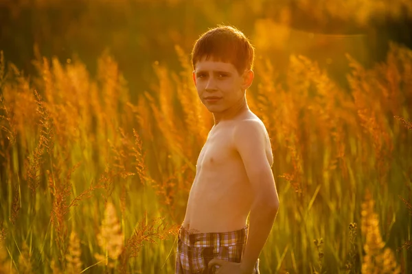 Uzun otların arasında duran çocuk — Stok fotoğraf