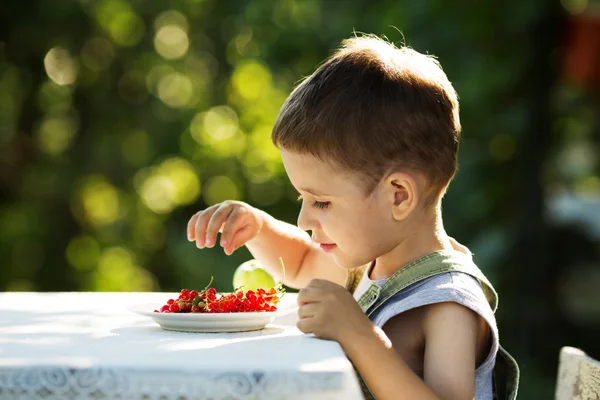 Mały chłopiec jeść czerwone porzeczki — Zdjęcie stockowe