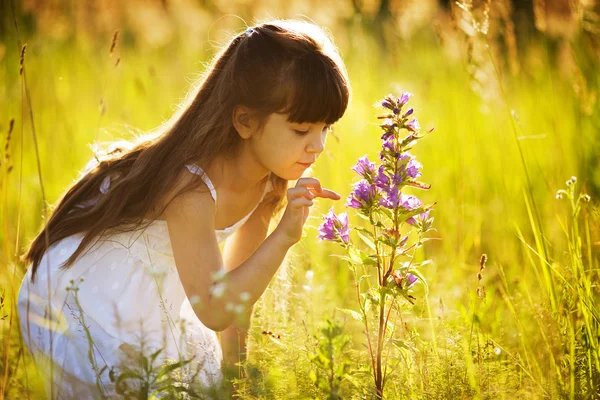 女の子は野生の花に触れる — ストック写真