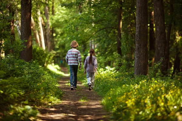 Boy with girl walking in the summer forest — Stock Photo, Image