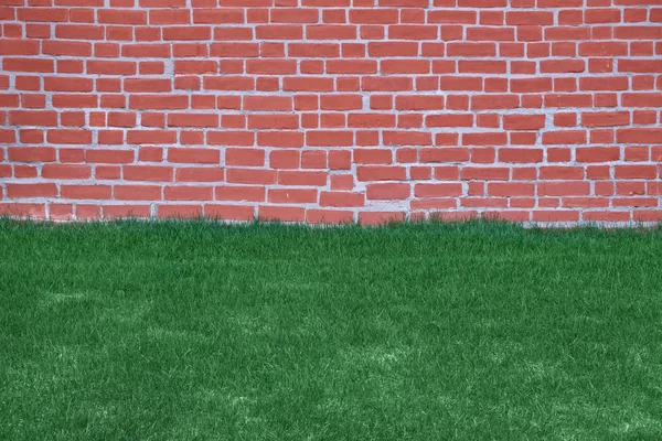 Lawn of grass and brick wall — Stock Photo, Image