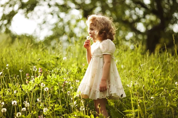 Kleines schönes Mädchen bläst Löwenzahn — Stockfoto