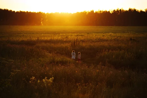 Little girls are walking in a field at sunset — Stock Photo, Image