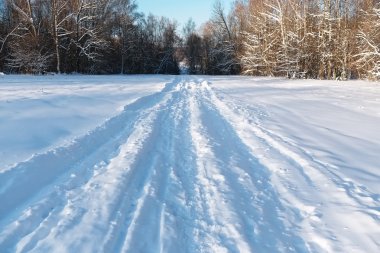Kış manzarası ile yol ve bir orman