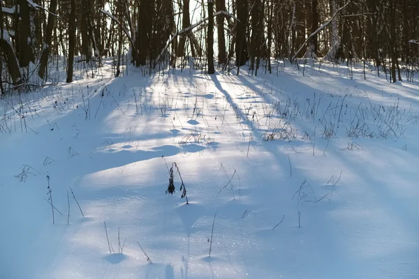 Winterlandschap met sneeuw — Stockfoto